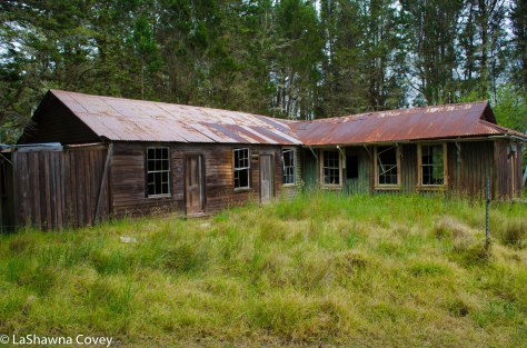 Mauna Kea Summit Adventure-1
