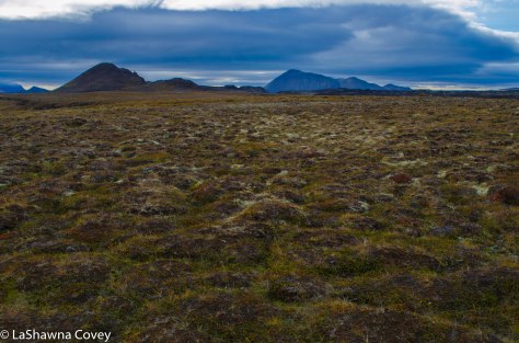 Myvatn geothermal-1