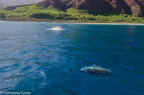 Na Pali Coast-10