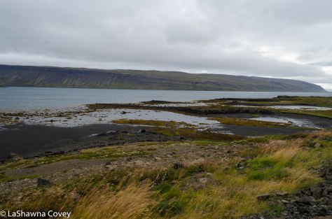 Westfjords Day 1-4