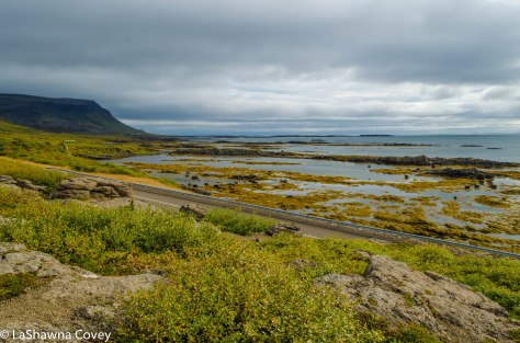 Westfjords Day 1-6