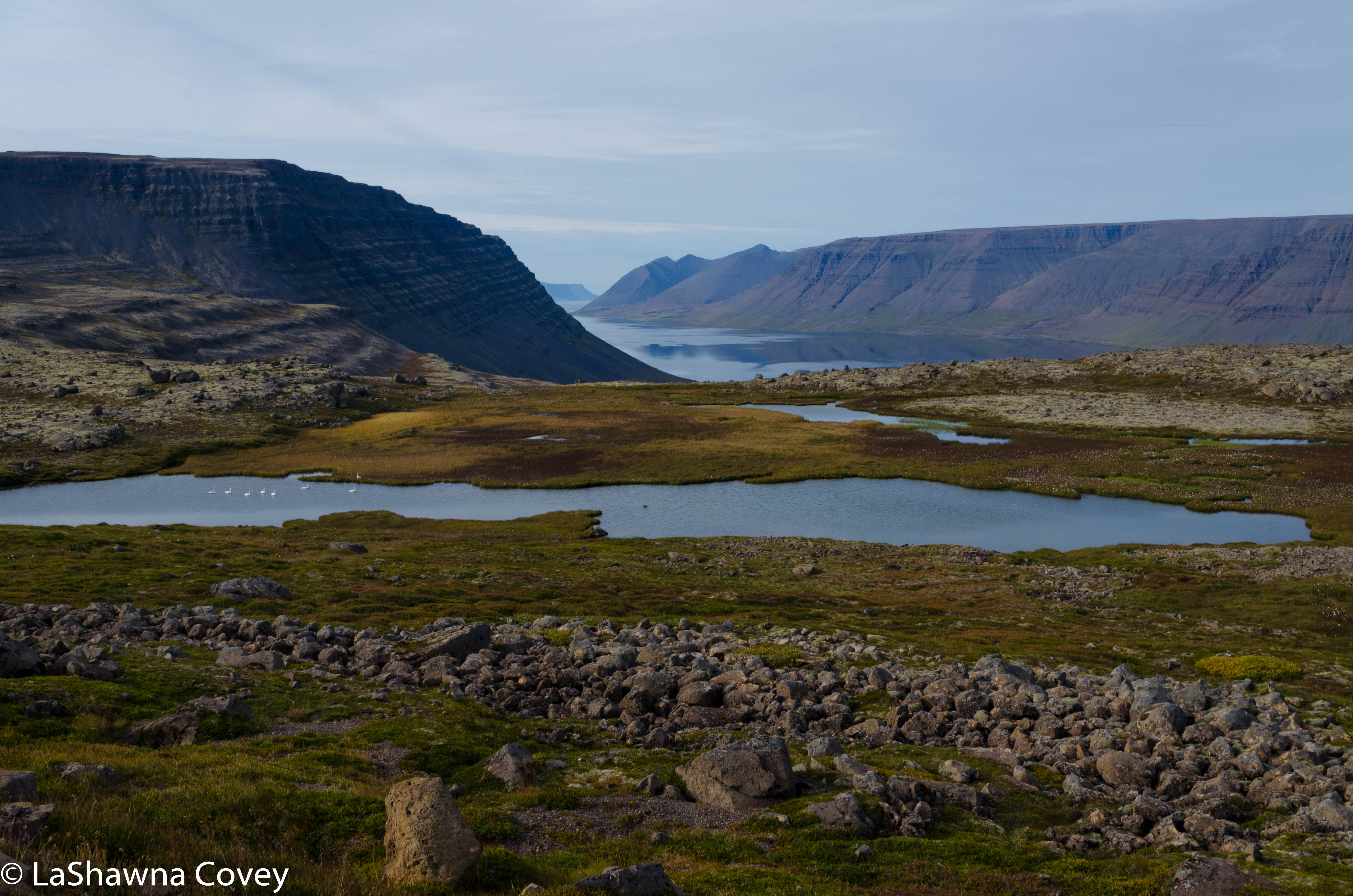Westfjords Day 2-11