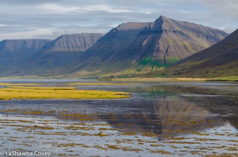 Westfjords Day 3-6