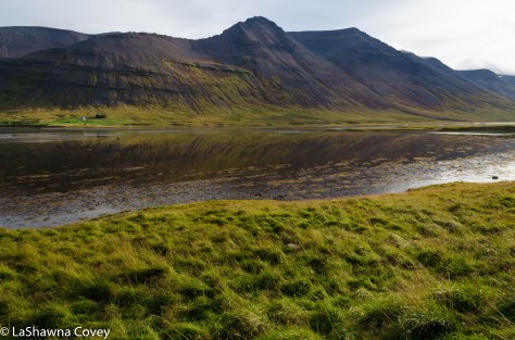 Westfjords Day 3-7