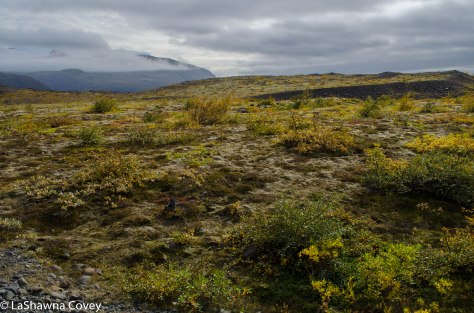 Skaftafell National Park-11