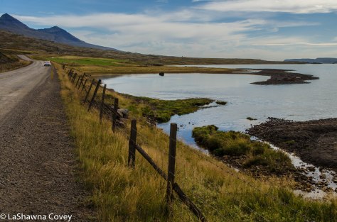 South Iceland beautiful nature-7