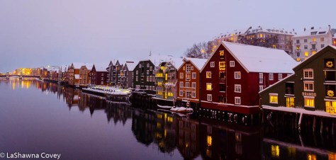 Hurtigruten Cruise -14