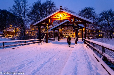 Hurtigruten Cruise -15