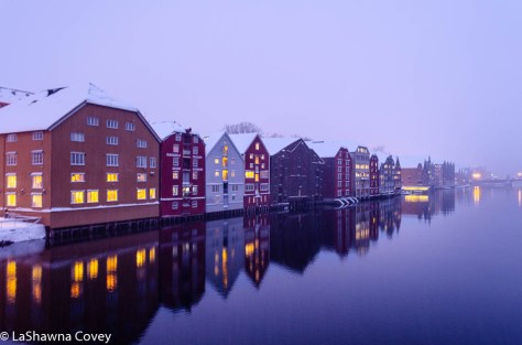 Hurtigruten Cruise -16
