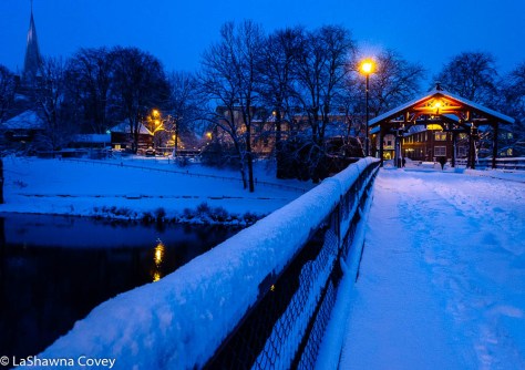 Hurtigruten Cruise -17