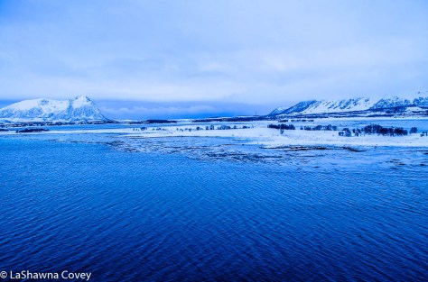 Hurtigruten Cruise -3