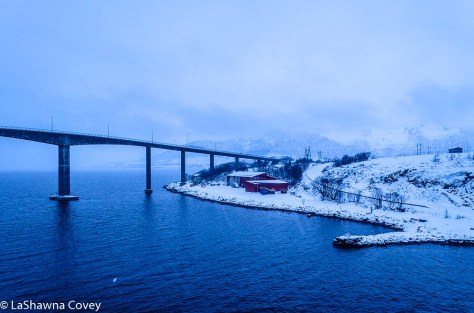 Hurtigruten Cruise -5