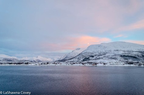 Hurtigruten Cruise -6