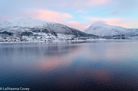 Hurtigruten Cruise -7