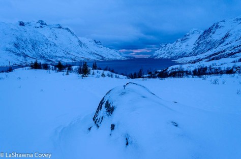 Tromso Blue Light Tour-11