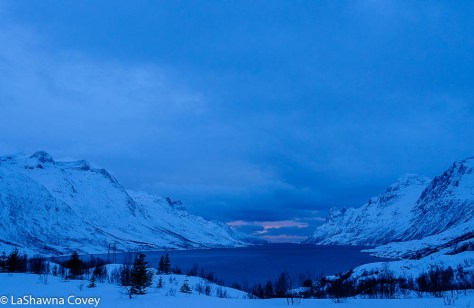 Tromso Blue Light Tour-12