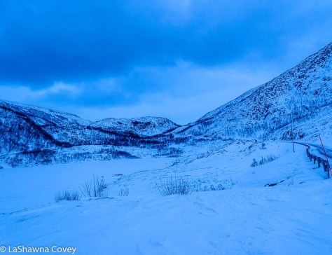 Tromso Blue Light Tour-13