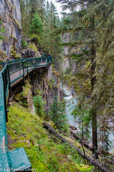 Johnston Canyon and Inkpots hike-2