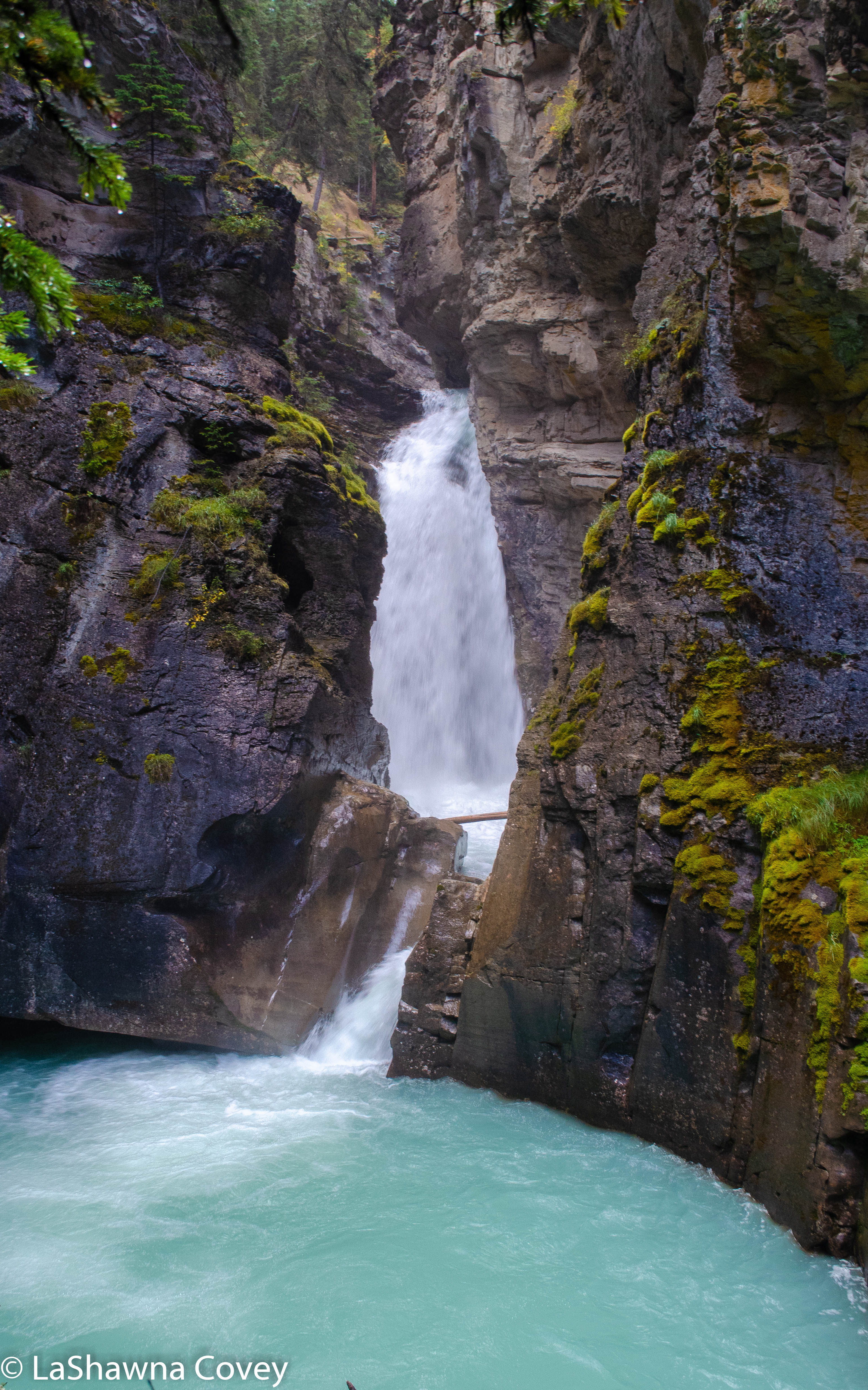 Johnston Canyon and Inkpots hike-4