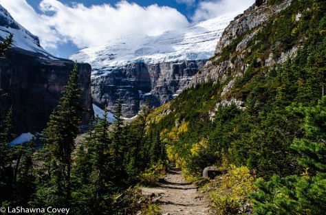 Plains of Six Glaciers-10