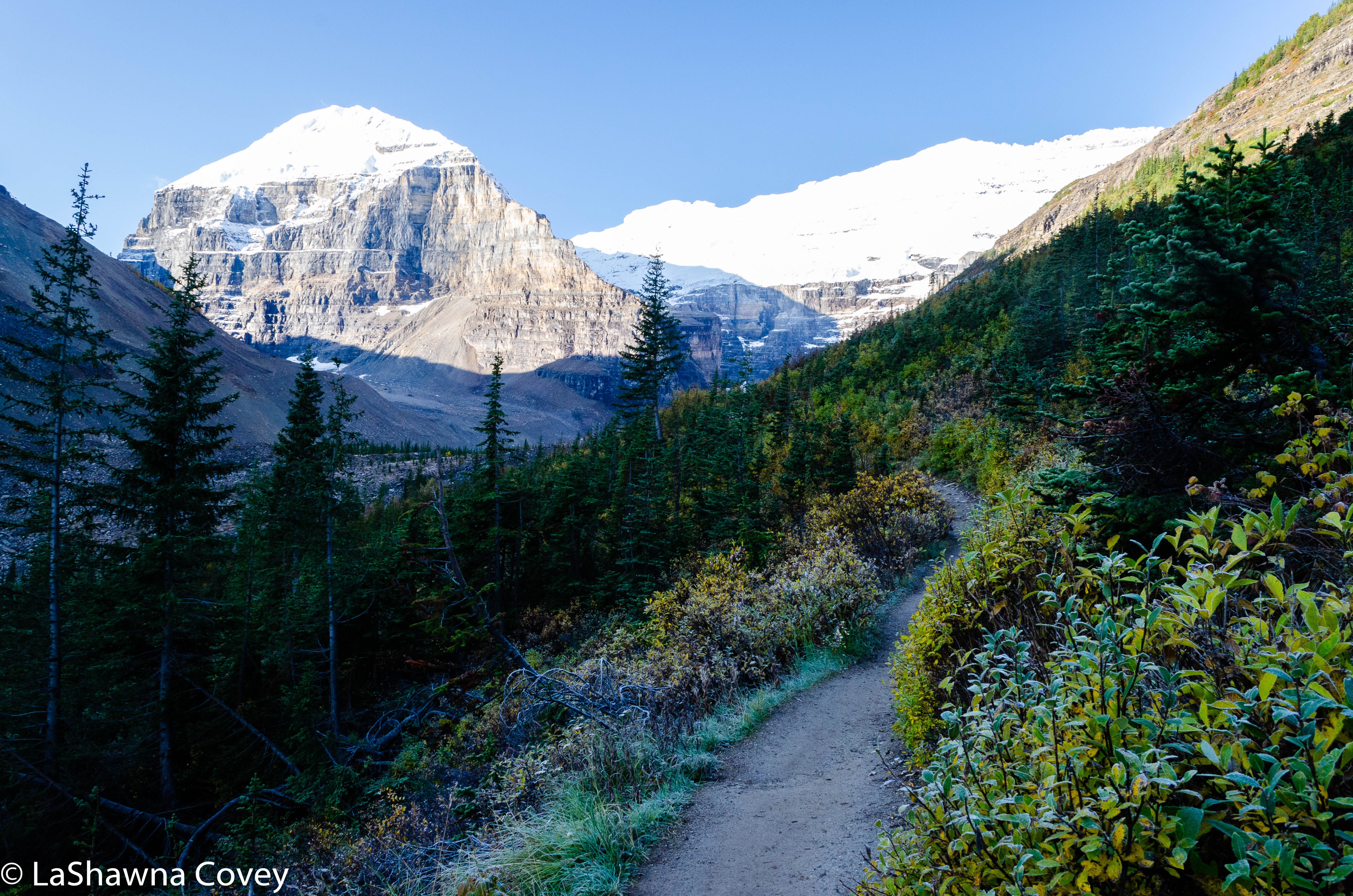 Plains of Six Glaciers-3