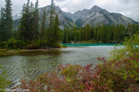 Sundance Canyon hike-8