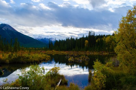 Vermillion Lakes-11