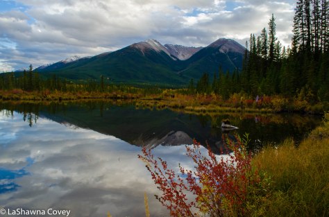 Vermillion Lakes-6
