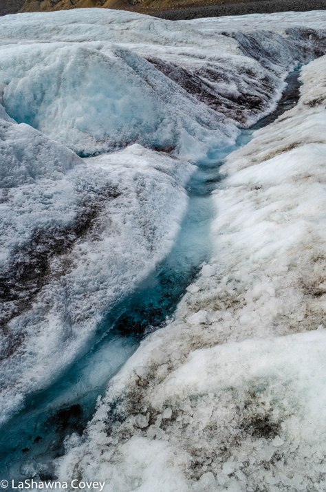Athabasca Glacier-5