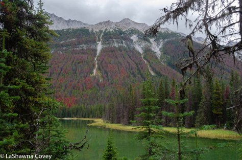 Beave and Summit Lakes hike-3
