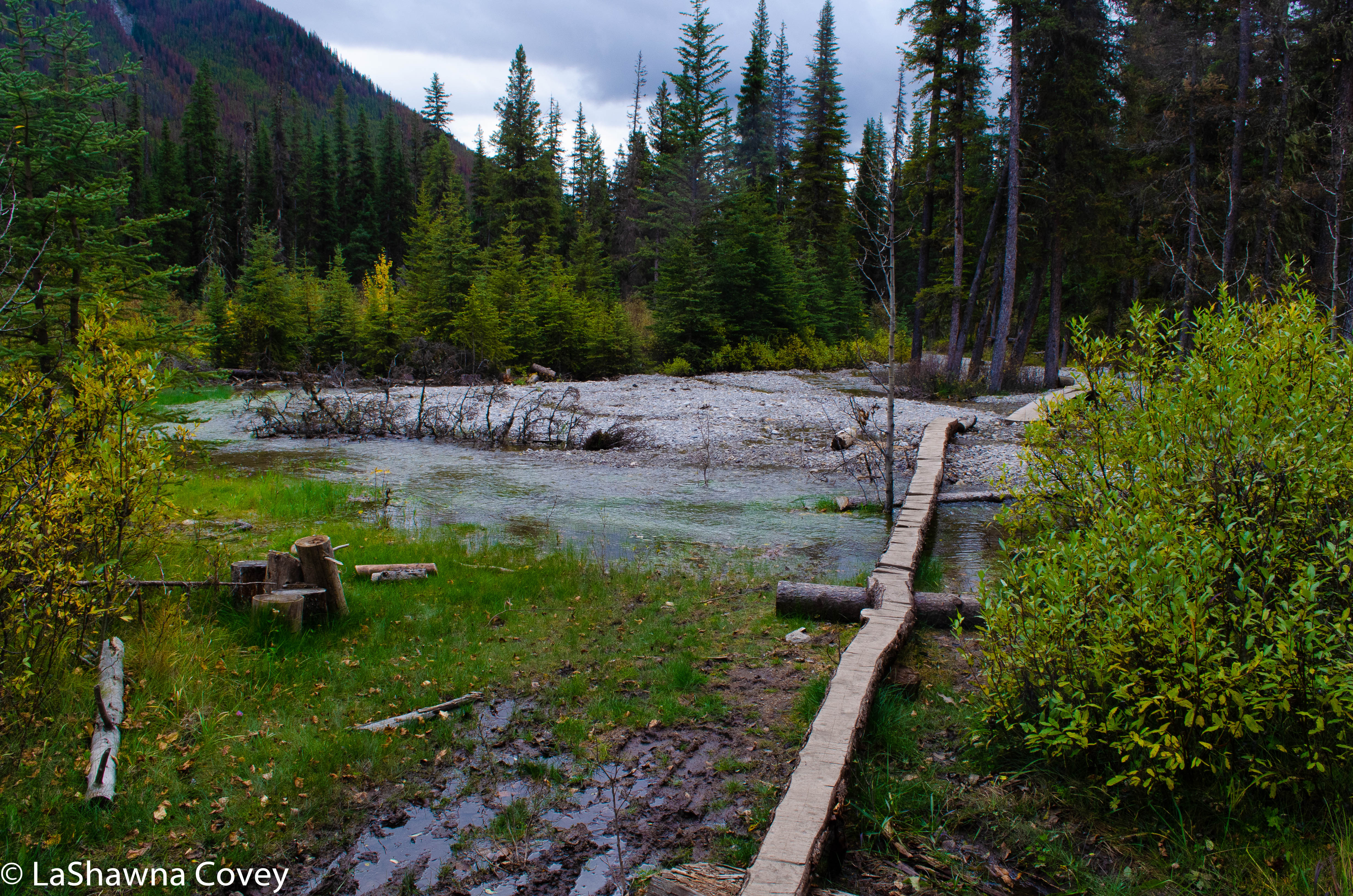 Beave and Summit Lakes hike-9
