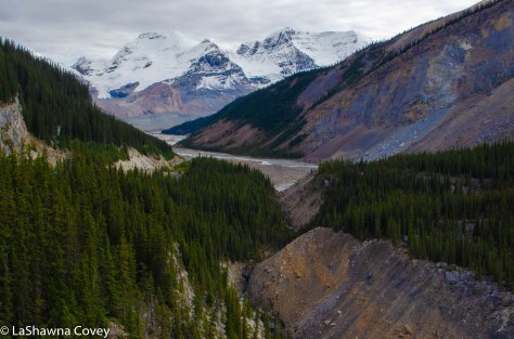 Icefields Parkway-10