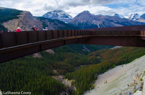 Icefields Parkway-12