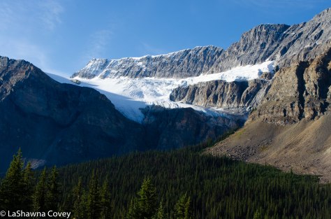 Icefields Parkway-16