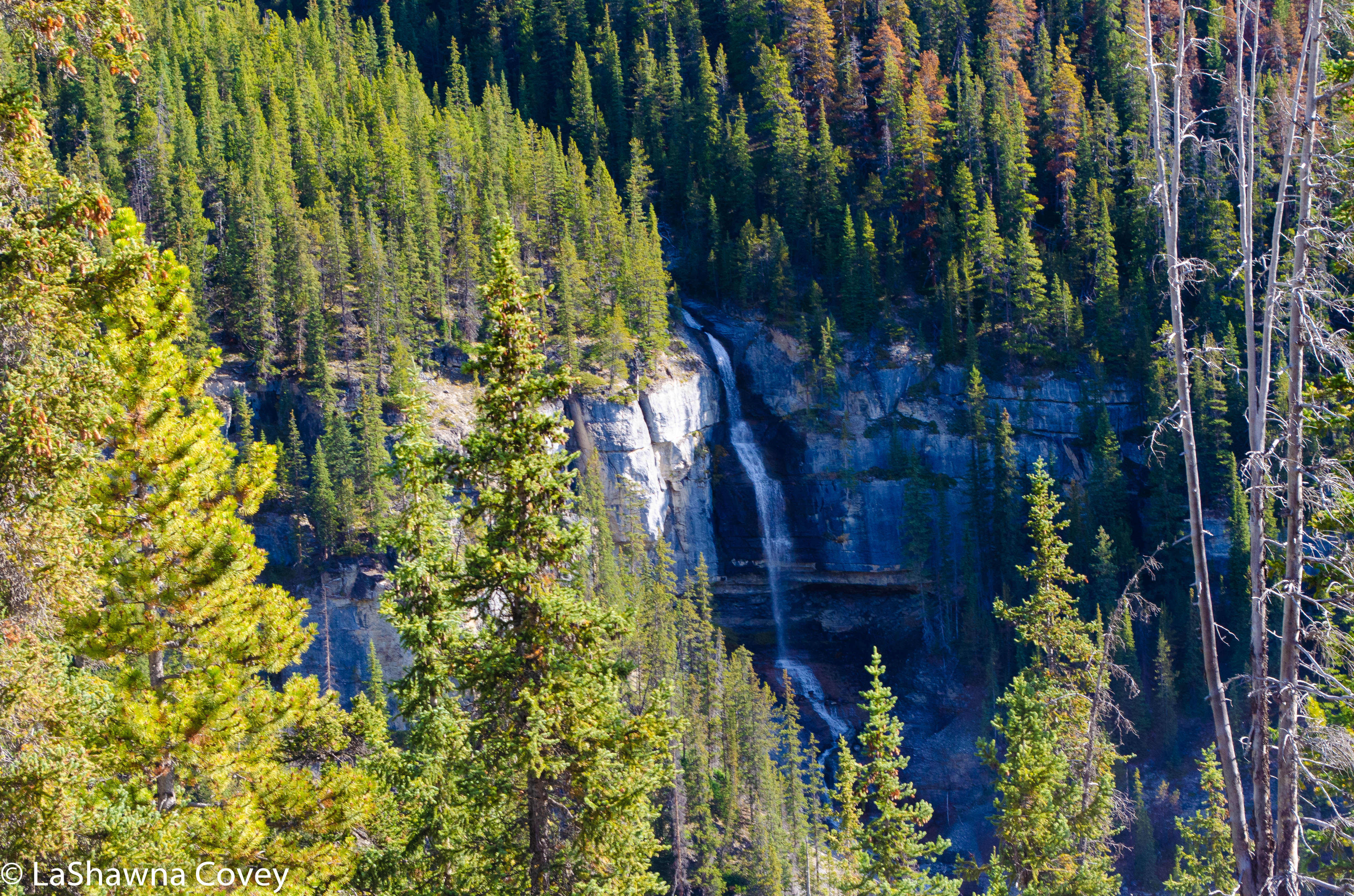 Icefields Parkway-23