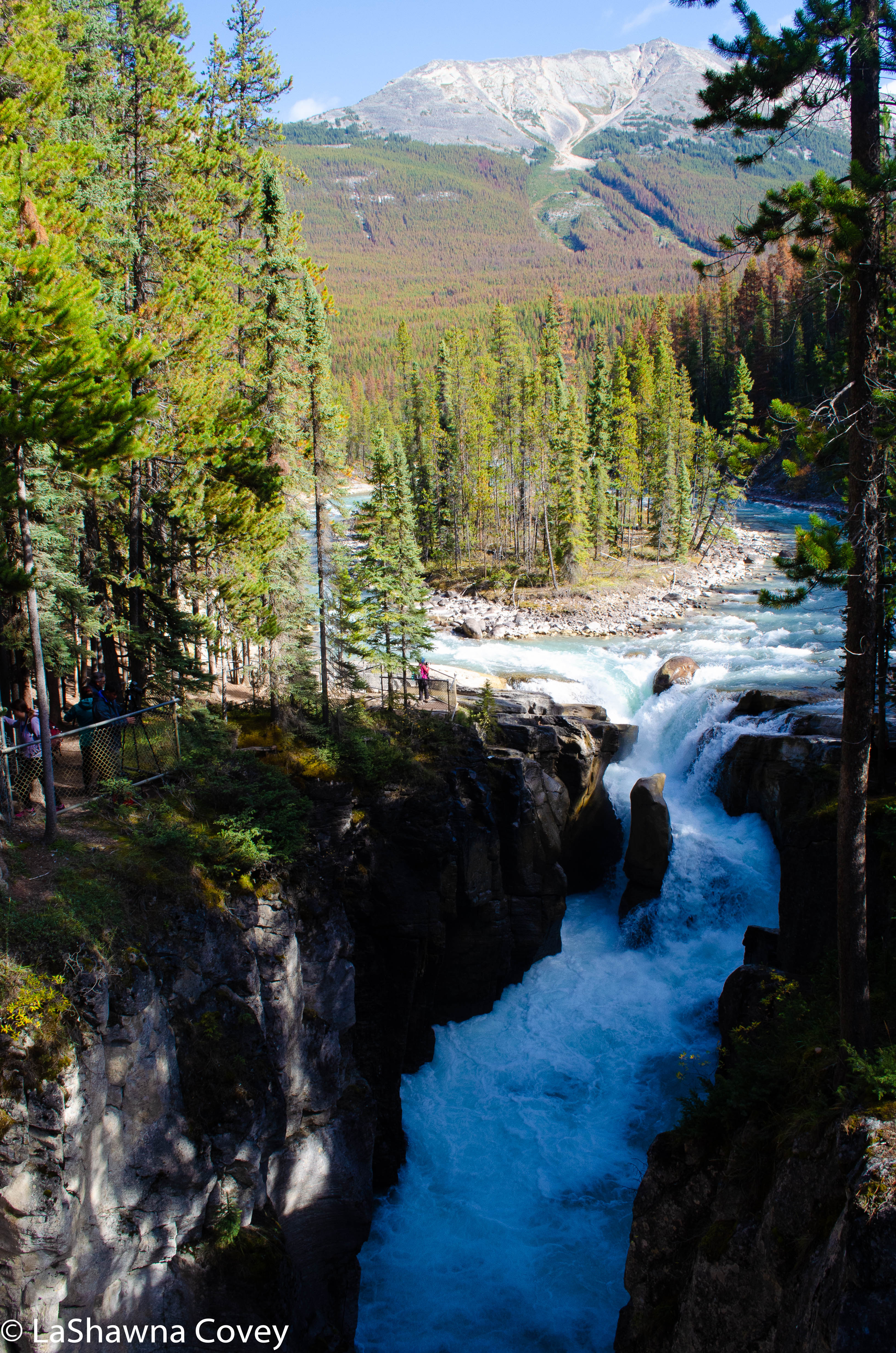 Icefields Parkway-26
