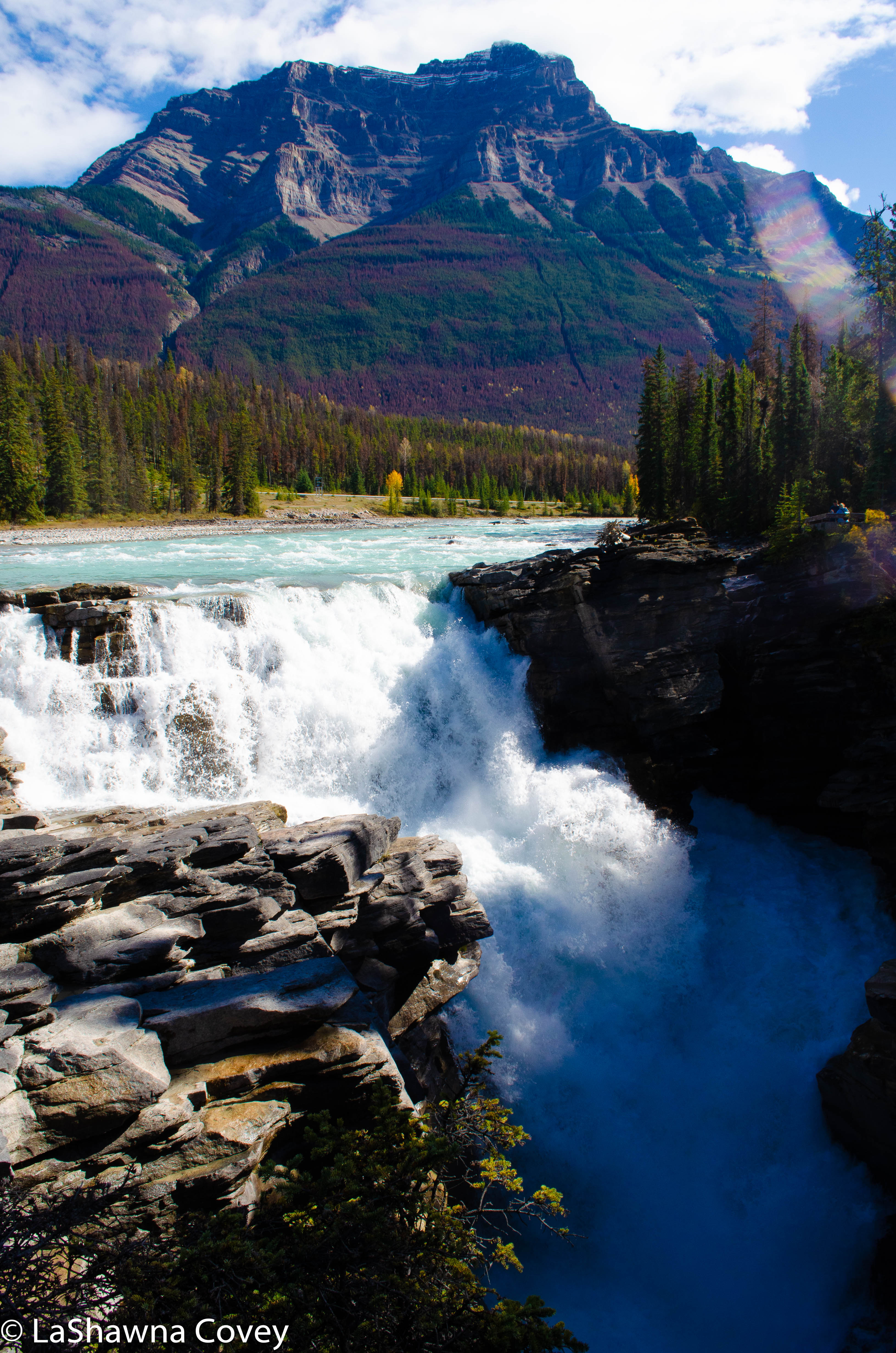 Icefields Parkway-29
