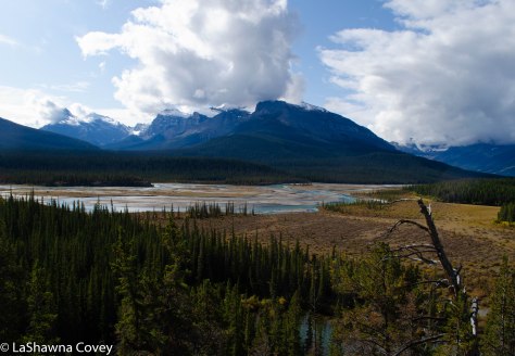 Icefields Parkway-3