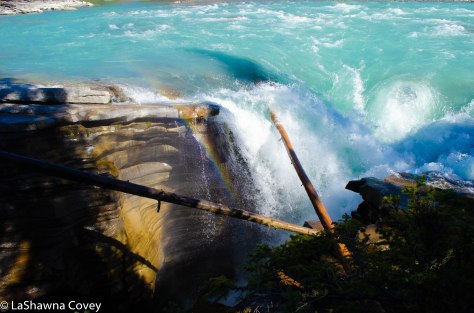 Icefields Parkway-33