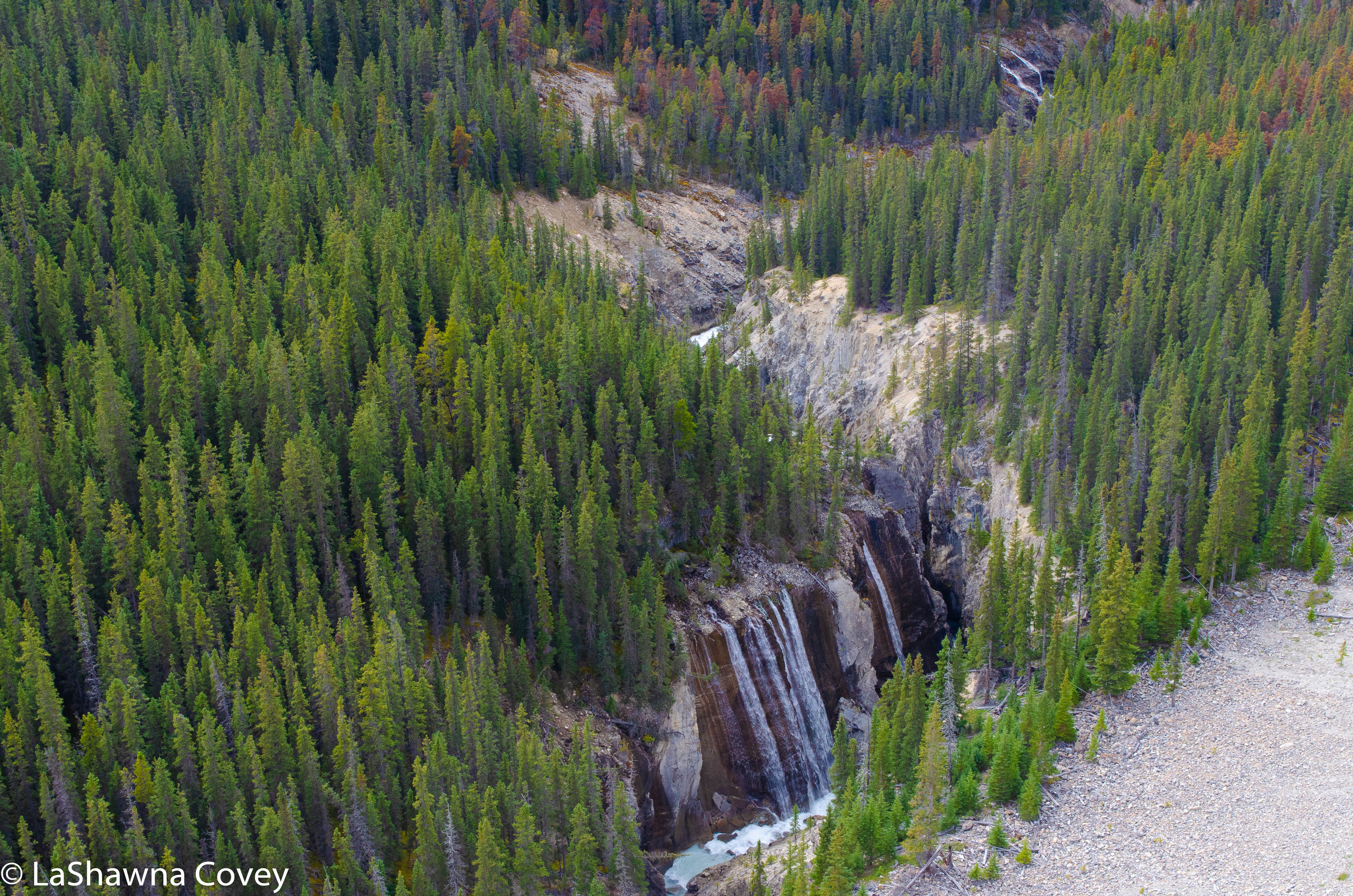 Icefields Parkway-9