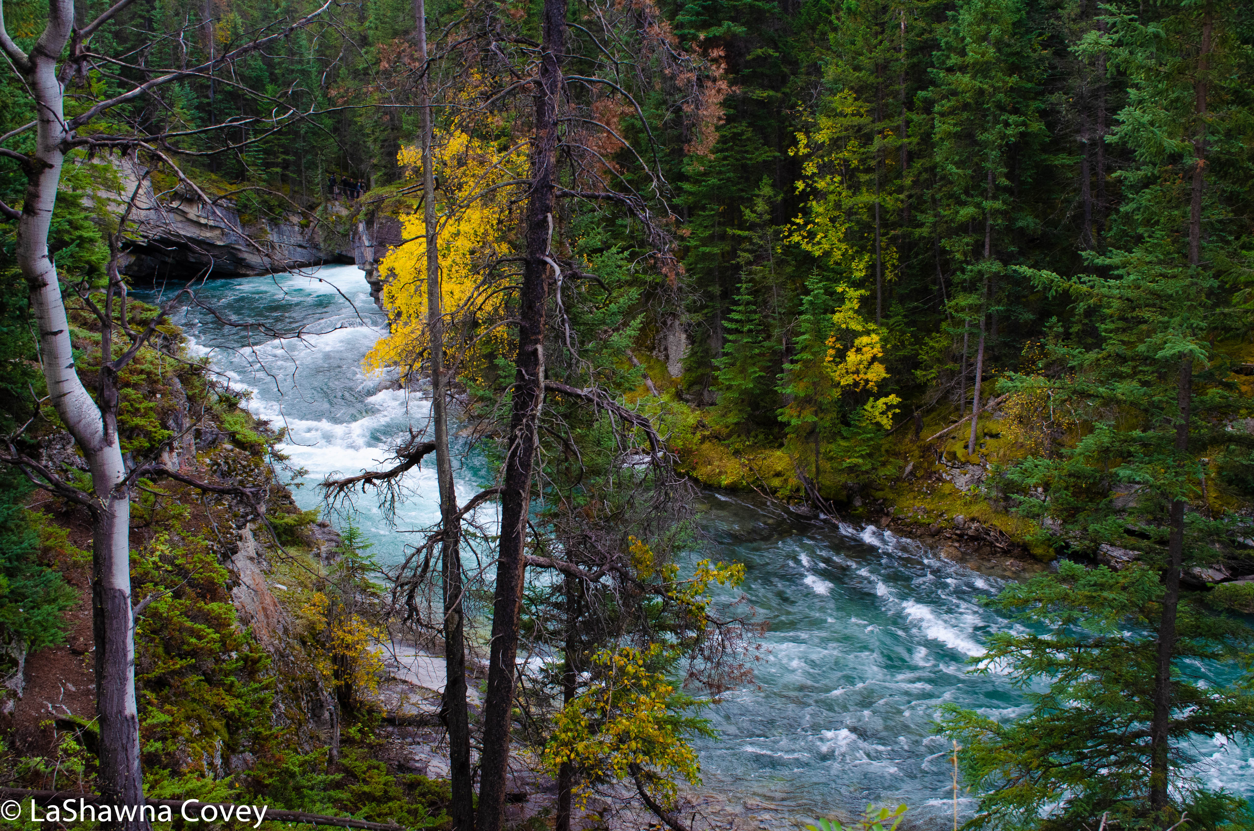 Maligne Canyon hike-5