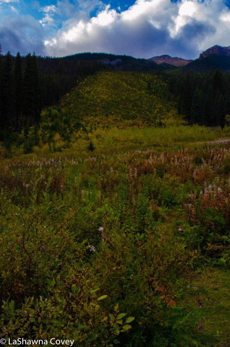 Yoho National Park-16