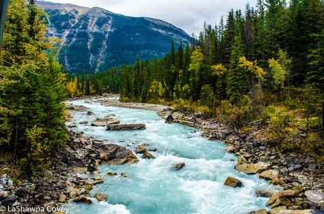 Yoho National Park-6